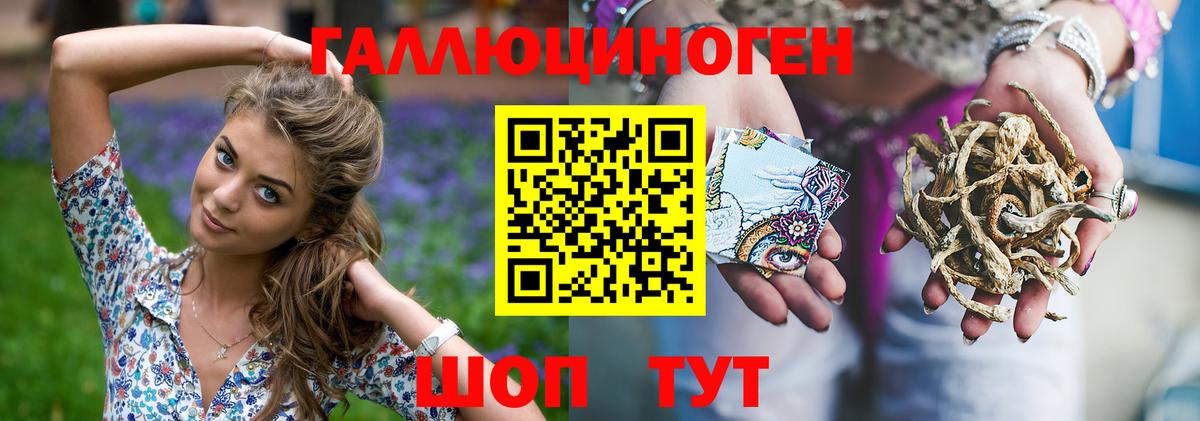 Псилоцибиновые грибы GOLDEN TEACHER Бор