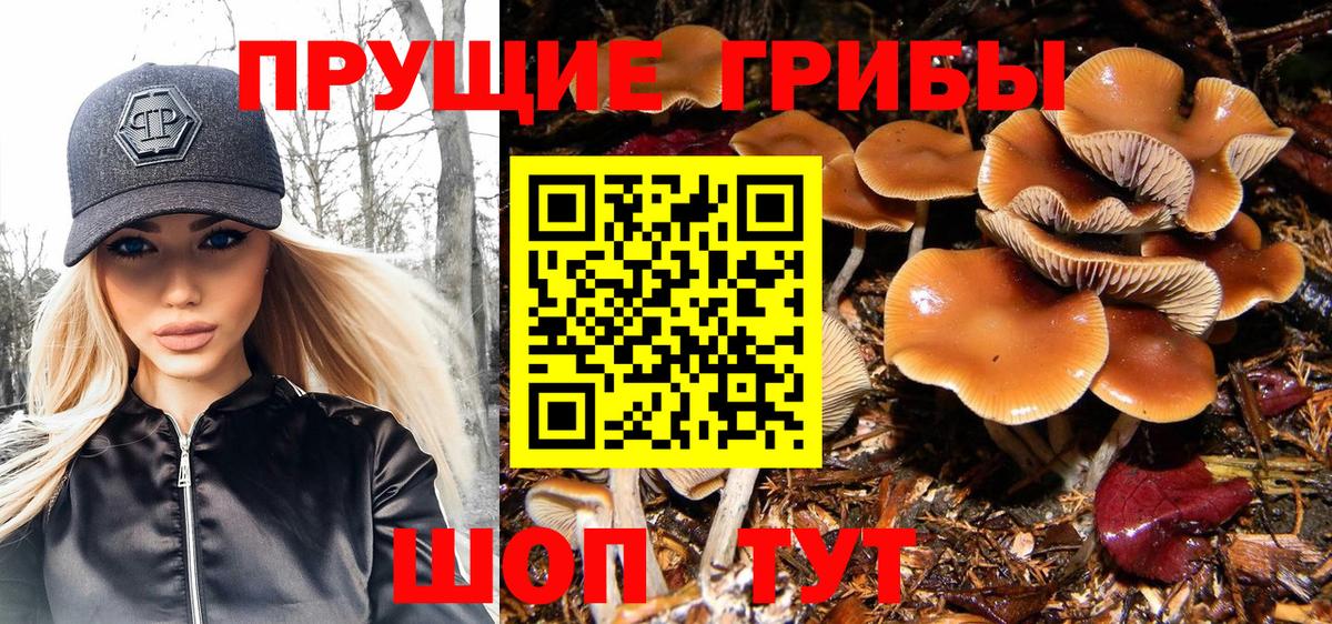 Псилоцибиновые грибы Psilocybine cubensis  Галлюциногенные грибы ЛСД  Вход с VPN  Бор 