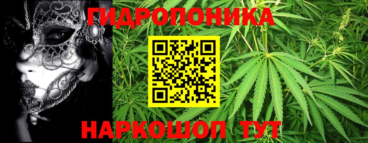 Канабис гибрид  Вход с VPN  Бор  Марихуана Bruce Banner  Шишки марихуана Amnesia 
